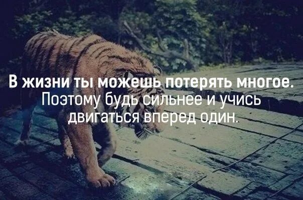 Учитесь быть сильными. Будь сильным в одиночку. В жизни ты можешь потерять многое. Будь сильнее и учись двигаться вперед в одиночку. Будь сильнее.