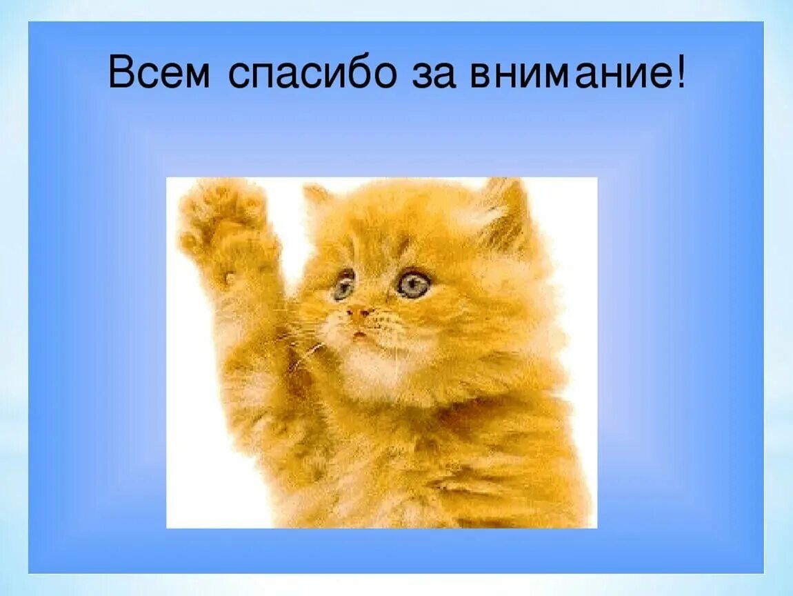 Картинка спасибо за просмотр для презентации. Спасибо за внимание. Спасибо за внимание котик. Благодарю за внимание. В ответе за тех кого приручили.