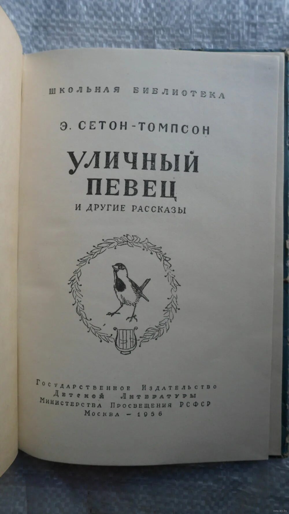 сетон томпсон уличный певец. уличный певец картинки. уличный певец сетон-томпсон иллюстрации. сетон томпсон уличный певец. уличный певец сетон-томпсон читать.