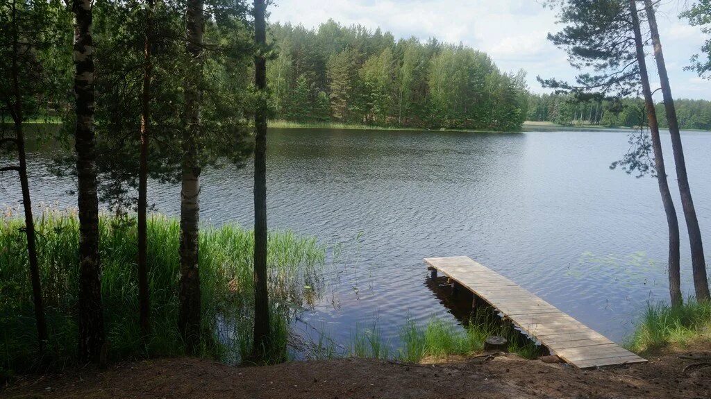 Озеро долгое беларусь. Долгое (озеро, белоруссия). Озеро долгое беларусь. Озеро долгое беларусь фото. Озеро долгое беларусь.
