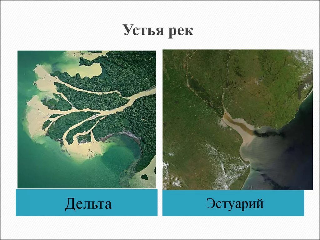 География устье реки. Дельта реки и Устье реки. Устье Дельта и эстуарий. Эстуарий и Дельта разница. Дельта и эстуарий реки.