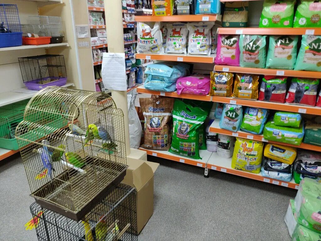 Зоомагазин мир животных, магадан. Зоомагазин мир животных. Зоомагазин ржев растения и рыбки. Картинки с животными магазин в калининграде. Домашние животные зоомагазин.