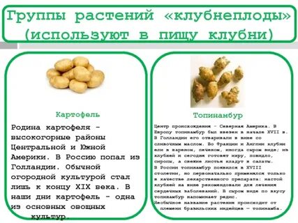 Требования к качеству картофеля