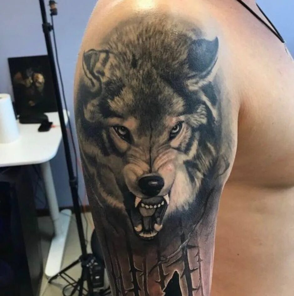 Татуировки мужские на плече волк. Тату оскал волка на плече. Тату оскал волка плечо. Тату оскал волка плечо. Тату волка на плече.