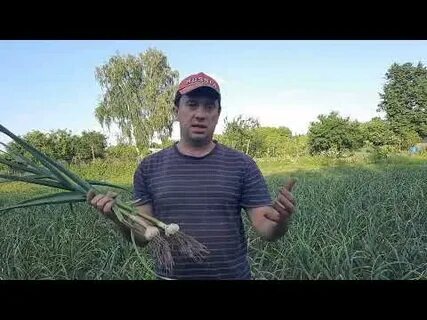 Чеснок липецк адрес