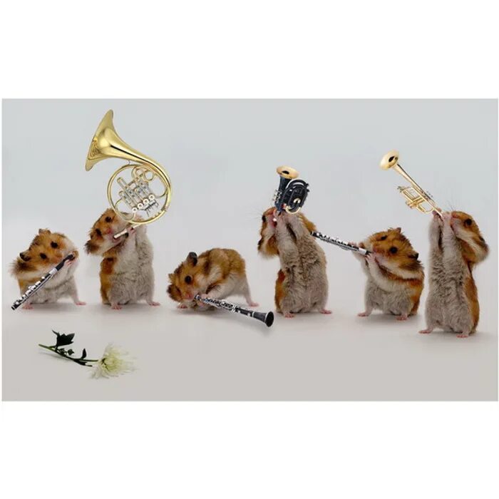 И шнец и жнец и на дуде