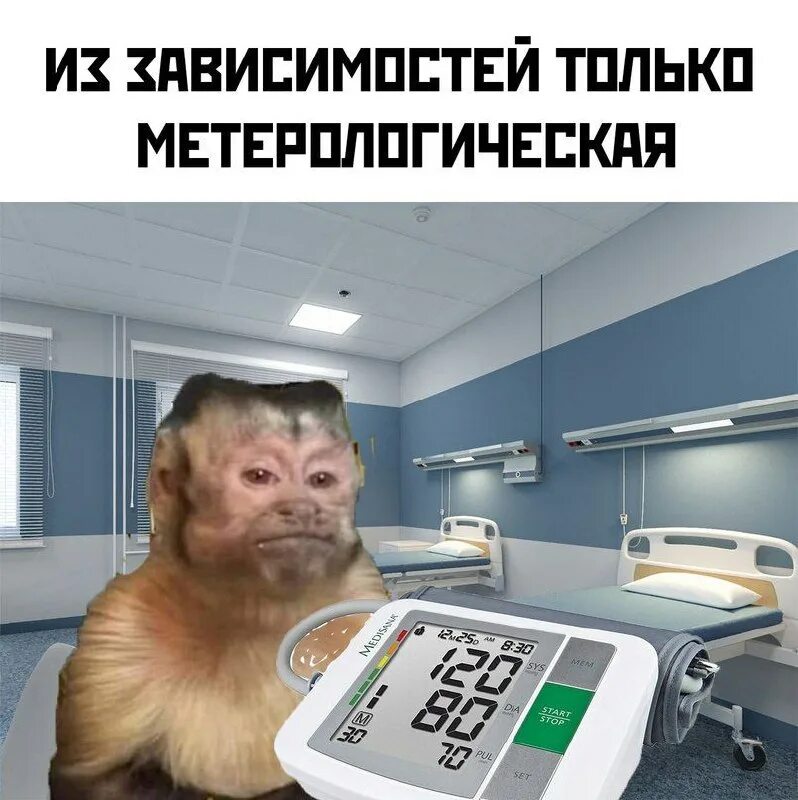 директор твоего очка