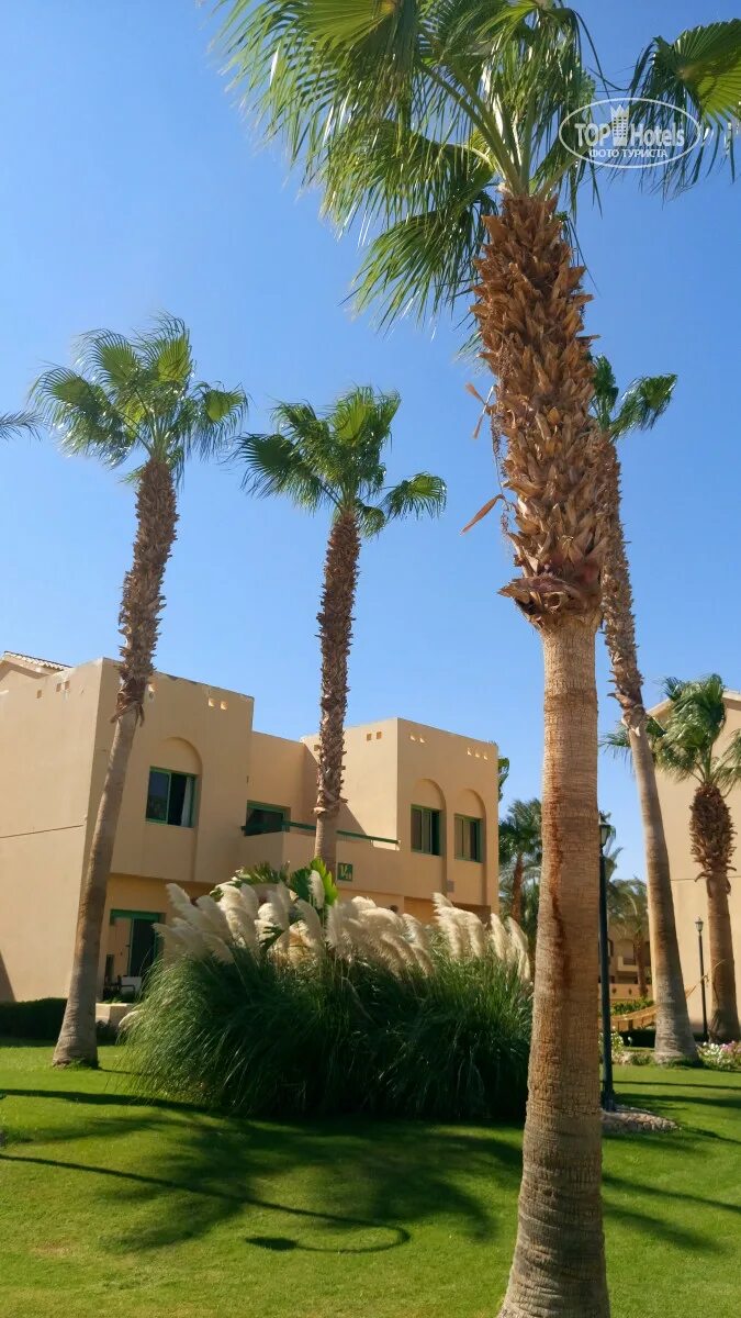 Swiss Inn Resort Hurghada. Swiss Inn Resort Hurghada 5* Хургада.