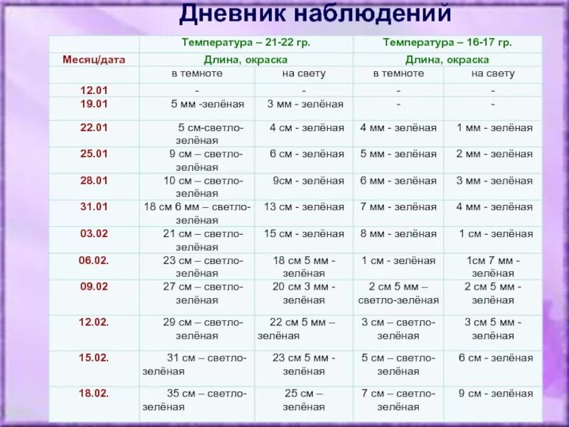 Ведение дневников наблюдений. Дневник наблюдений по биологии. Наблюдение за луком таблица. Ведение дневника наблюдений.