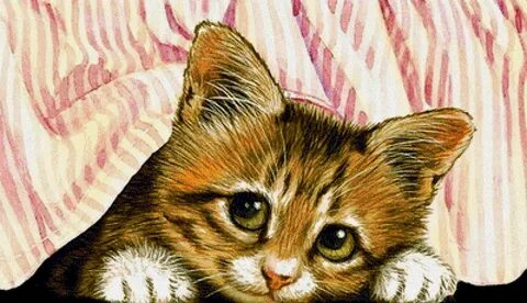 Фотографии нарисованного котенка