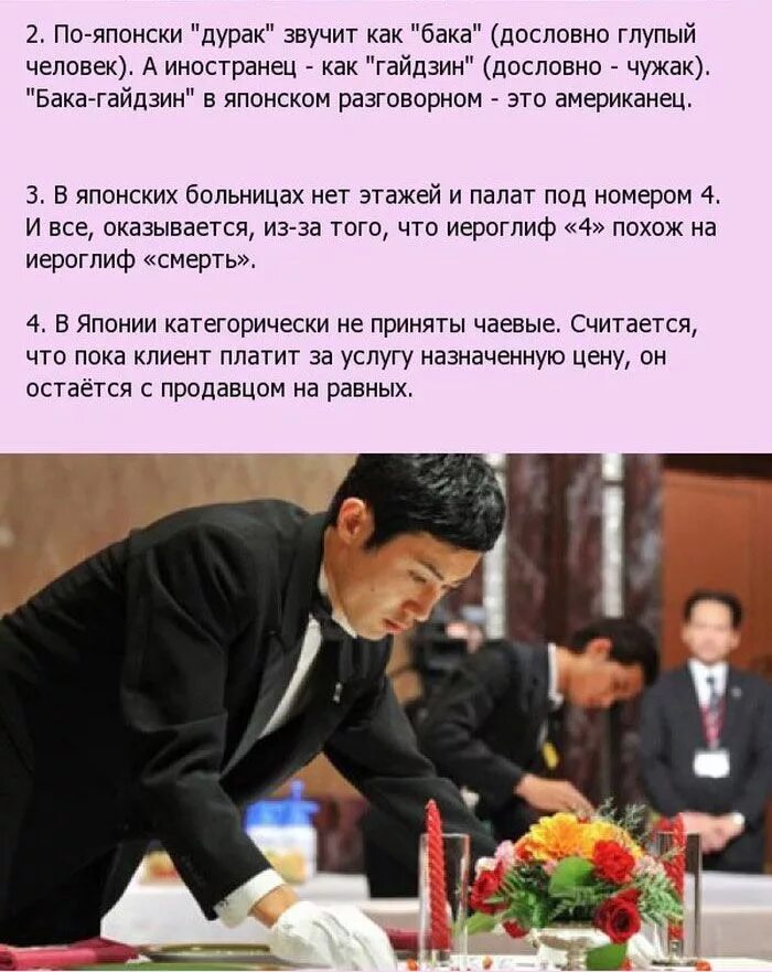 Япония краткие факты. Интересные факты о японии. что интересного в японии. япония интересные факты о японии. три интересных факта о японии.