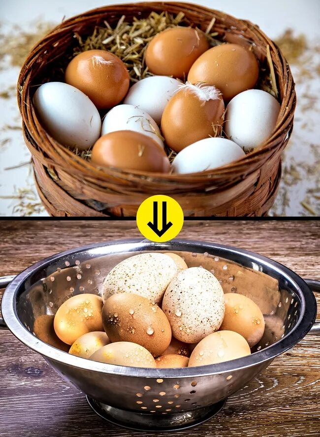 Two eggs. Яйцо куриное. Яйцо зараженное сальмонеллой. Сальмонеллез яйца куриные.