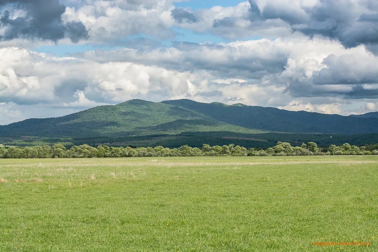 Поля в хороле приморский край. Приморье поля. Приморье поля. Приморский край поля. Фёдоровские сопки.