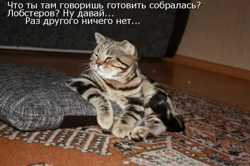 Как же хорошо быть дома