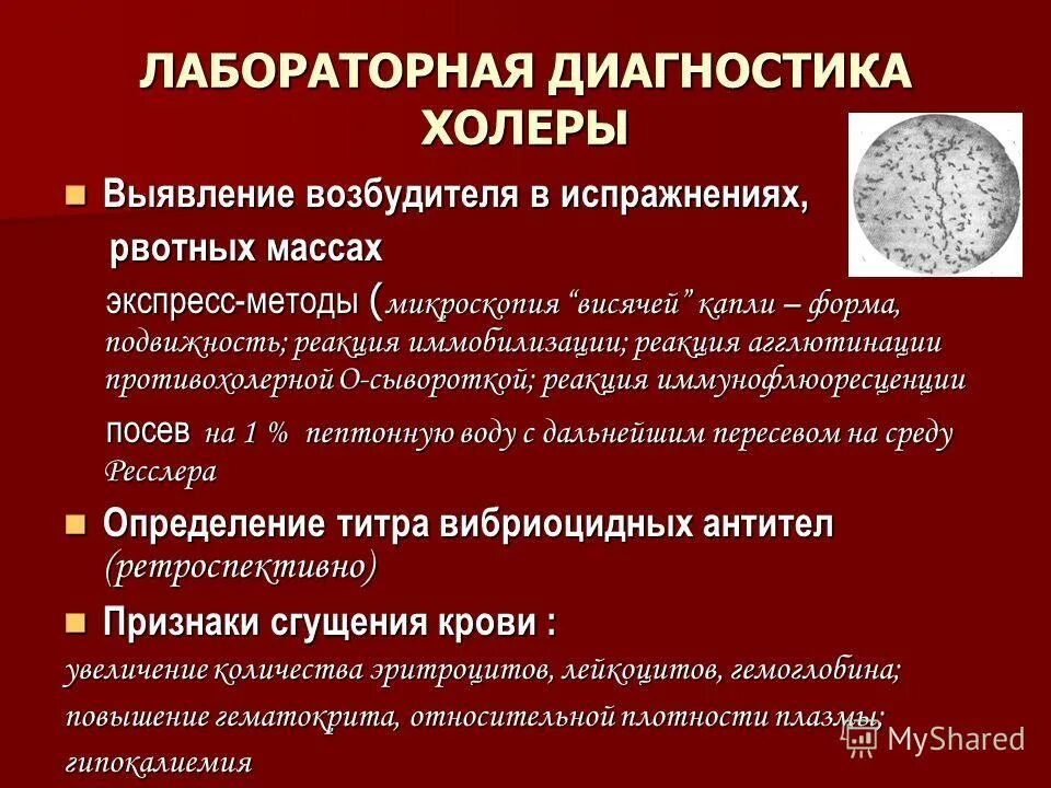 Источником инфекции при холере является. Лабораторная диагностика холеры микробиология. Методы исследования при холере. Методы лабораторной диагностики холеры. Методы диагностики при холере.