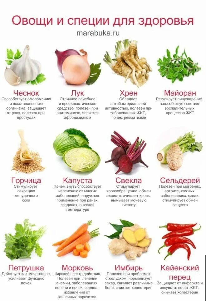 полезные приправы для здоровья. какие специи полезные. какие специи полезные. какие специи полезные. инфографика специи.