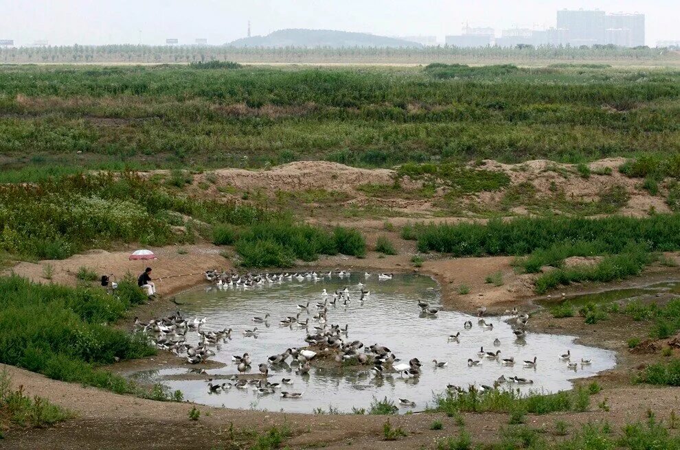 опустынивание австралии. высохшие водоемы. пересохшая река. пересохший водоем. пересохшее русло реки.