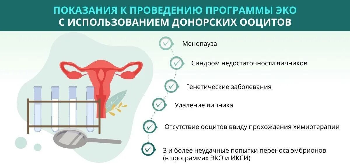 Встать на эко. Эко с донорской яйцеклеткой. донорские ооциты. эко показания для проведения. показания к эко с донорскими яйцеклетками.
