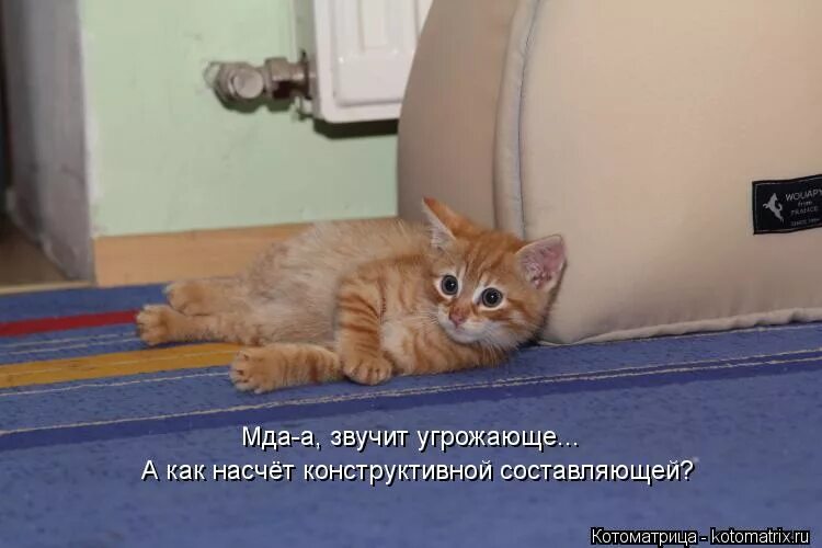 Что нибудь угрожающее. Коллектор должник. Демотиваторы про машины. Смешные рыжие коты с надписями. Агрессивный человек за компьютером.