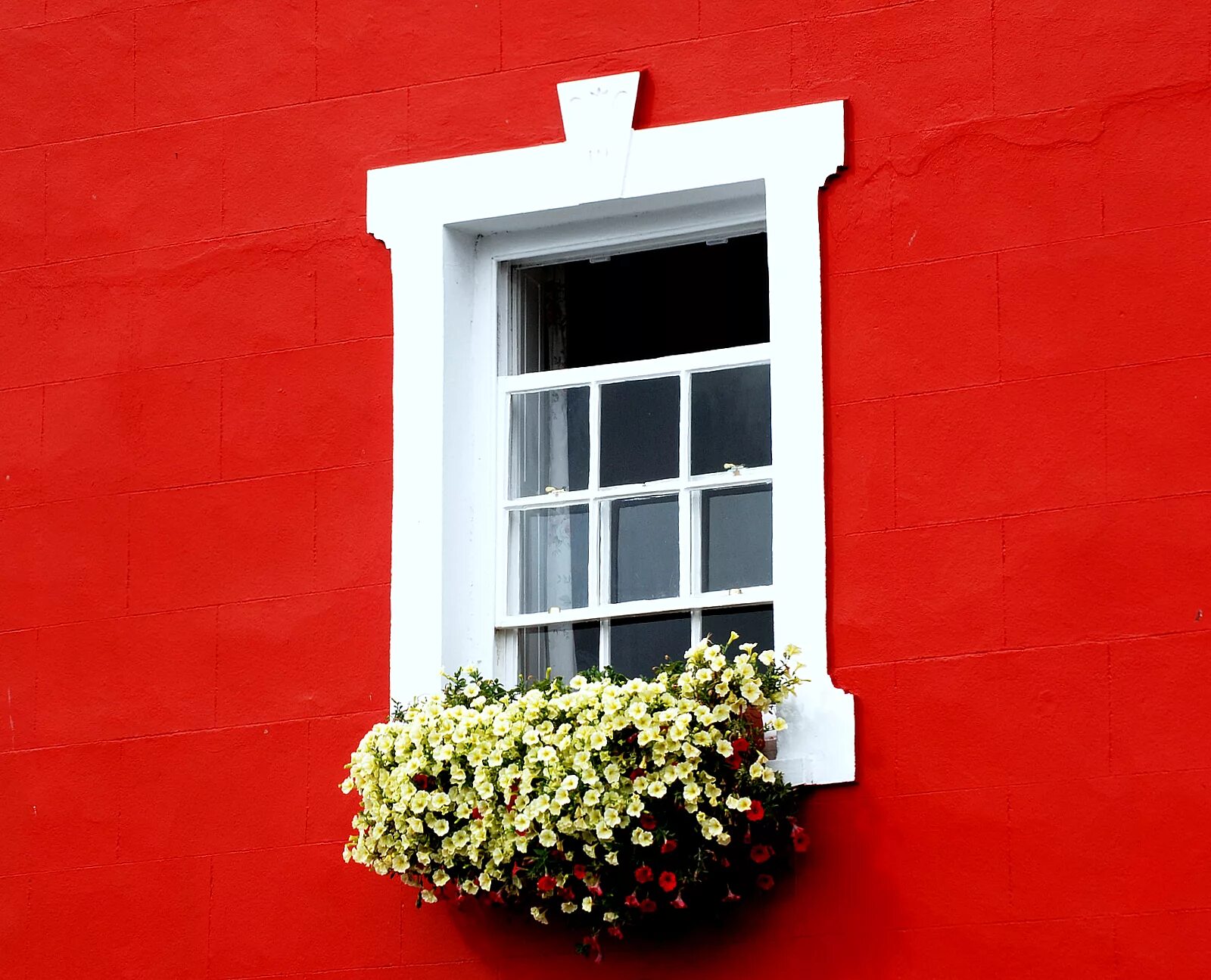 Окна пластиковые красно. У окна. Красное окно. Красный дом с белыми ставнями. Дом с красными ставнями.