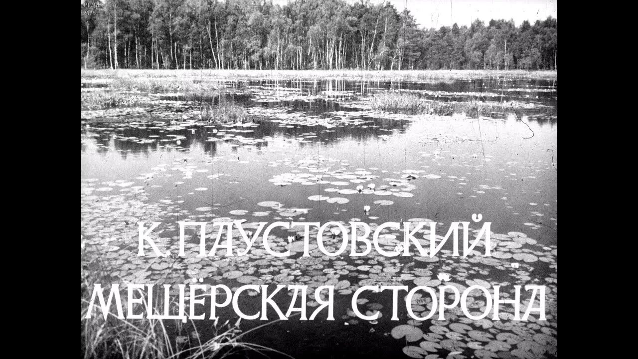 Мещерская сторона к г. Мещерский край Паустовский. Книга Паустовского Мещерская сторона. Мещёра Паустовский.