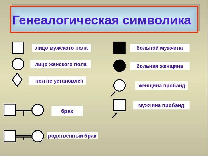 Символы используемые для составления родословной. Символы, используемые при составлении родословных. Генеалогический анамнез схема ребенка. Генеалогическое древо обозначения генетика. Генеалогический анамнез родословная пробанд.