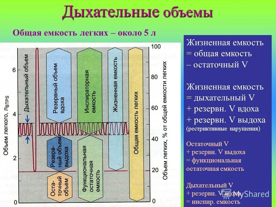 жизненная и общая емкость легких