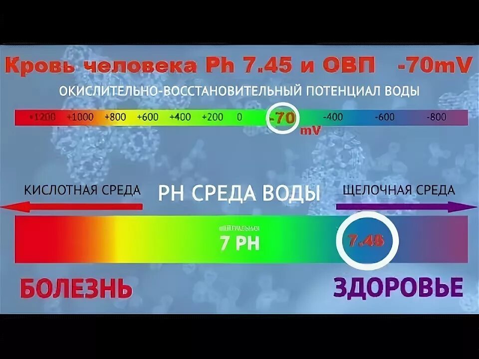 Прибор для измерения ph воды овп. Вода с отрицательным овп. Овп метр для воды таблица. Овп рн. Рн-метр нпк аквилон ph-410.