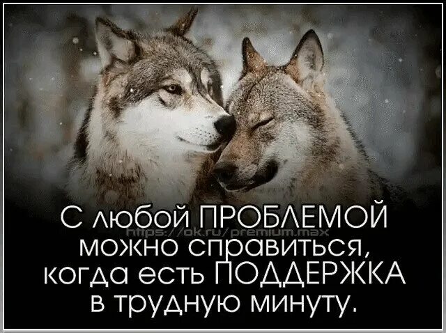 Нужно быть кому то в трудную. Поддержкатв трудную минуту. поддержка человека в трудную минуту. трудные минуты цитаты. пождержкаивитрудную минуту.