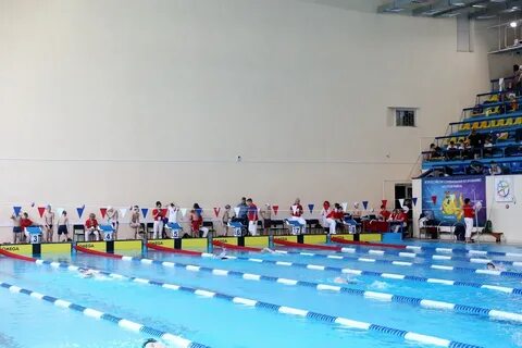 Золотая рыбка владивосток
