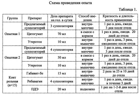 Время отела