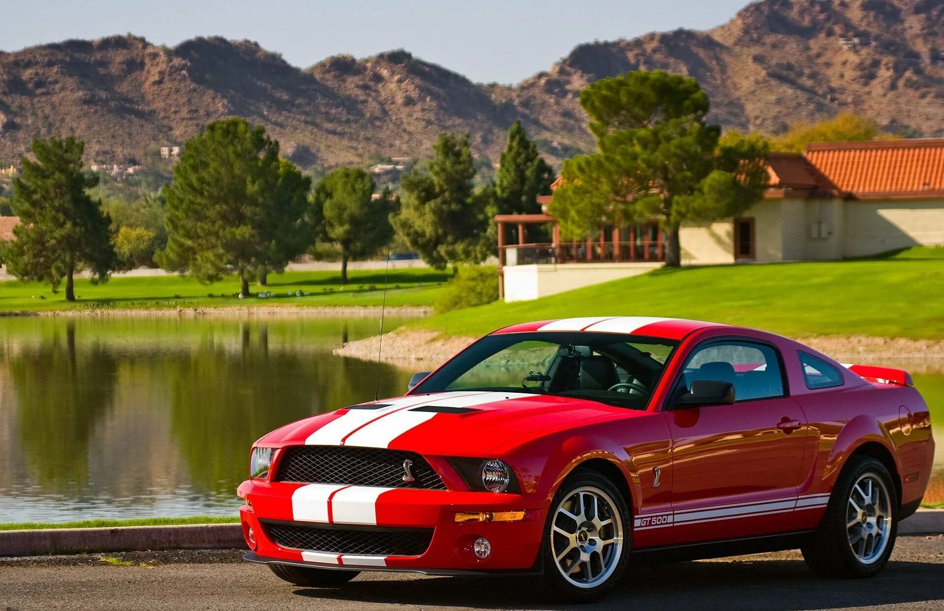 Форд Мустанг ГТ 500 Шелби. Ford Shelby gt500. Mustang Shelby gt500. Форд Мустанг Шелби gt500 2008. Мустанг на русском языке