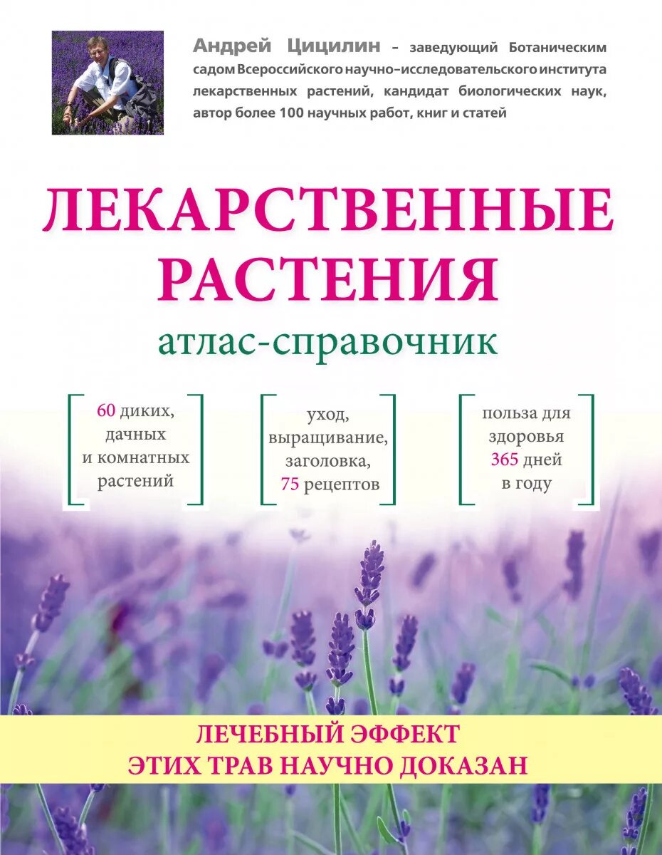 Сушеные травы. Лекарственные растения. Травянистые растения леса лечебные. Лекарственные растения. Лекарственные растения названия.