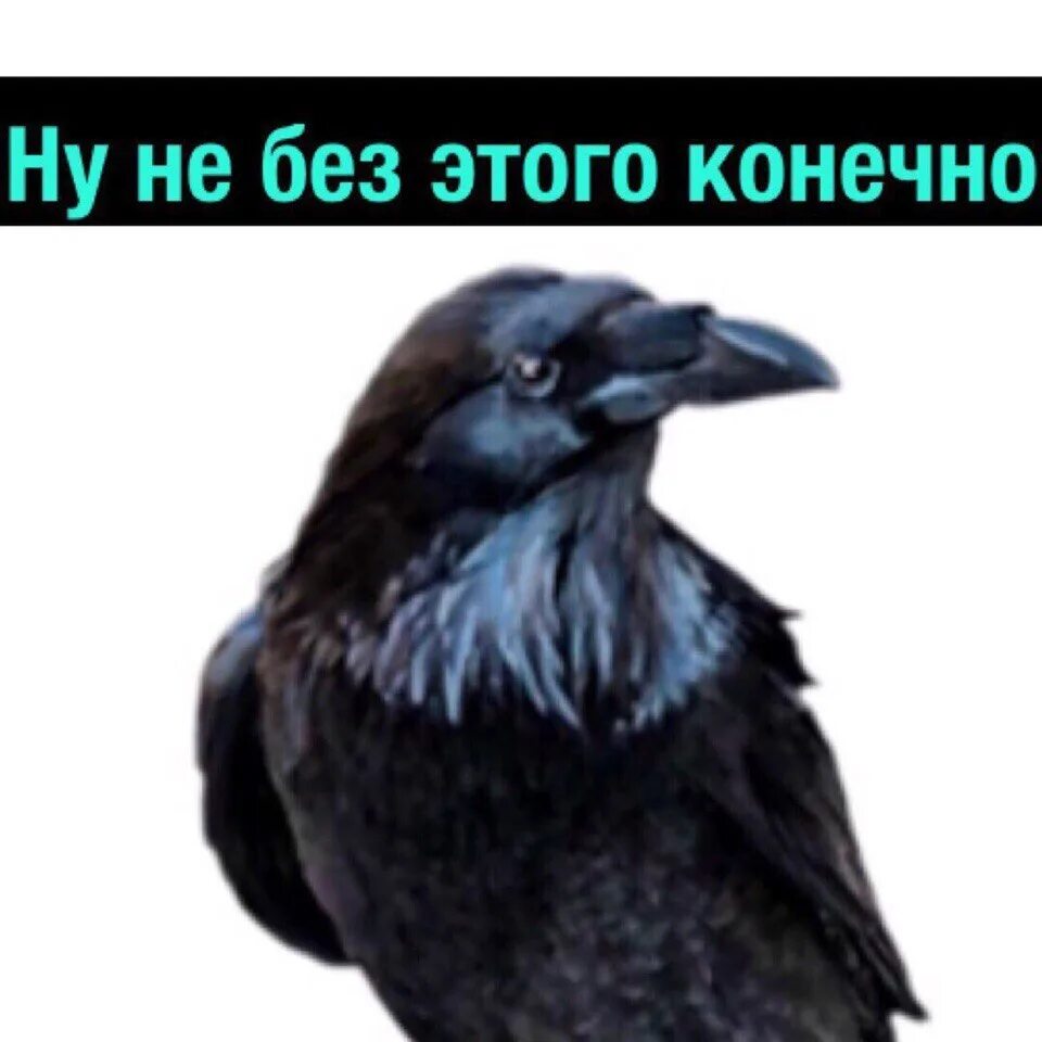 А не без. Тюличка масочный режим. А не без. Без маски не обслуживаем. А не без.