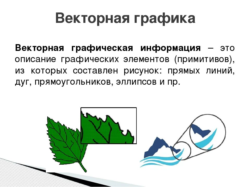 Из чего состоят векторные изображения. Векторная Графика. Векторной графике. Вектордук Графика. Основы ветренной графики.