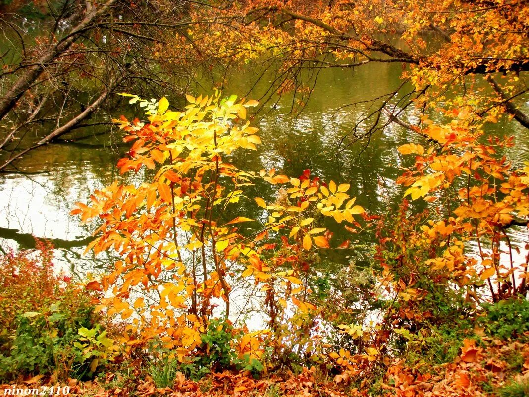 октябрь пасмурно. октябрьская осень картинки. календарь природы осень. фото обложка октябрь. осенние месяцы для детей.