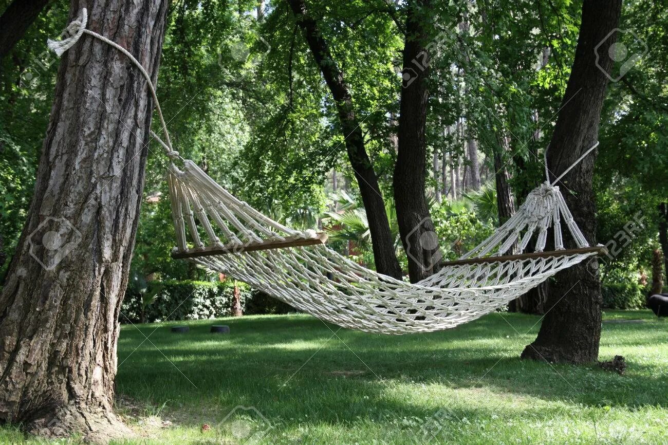 Крепление гамака к дереву. Качели на дереве. Трос между деревьями для детей. Натянуть между двух деревьев. Крепление качелей к дереву.