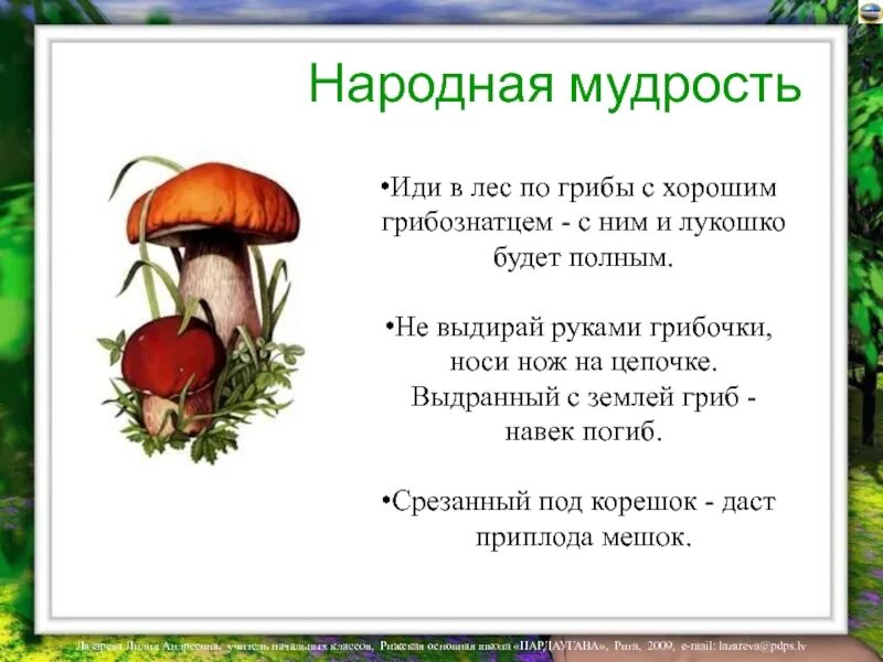 Маши решила посчитать все собранные грибы. Поговорки про грибов. Поговорки про грибы. Загадки для детей на тему грибы. Высказывания про грибы.