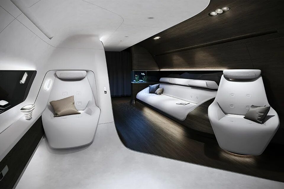 Advanced Aircraft Interiors by Alex Naboko
