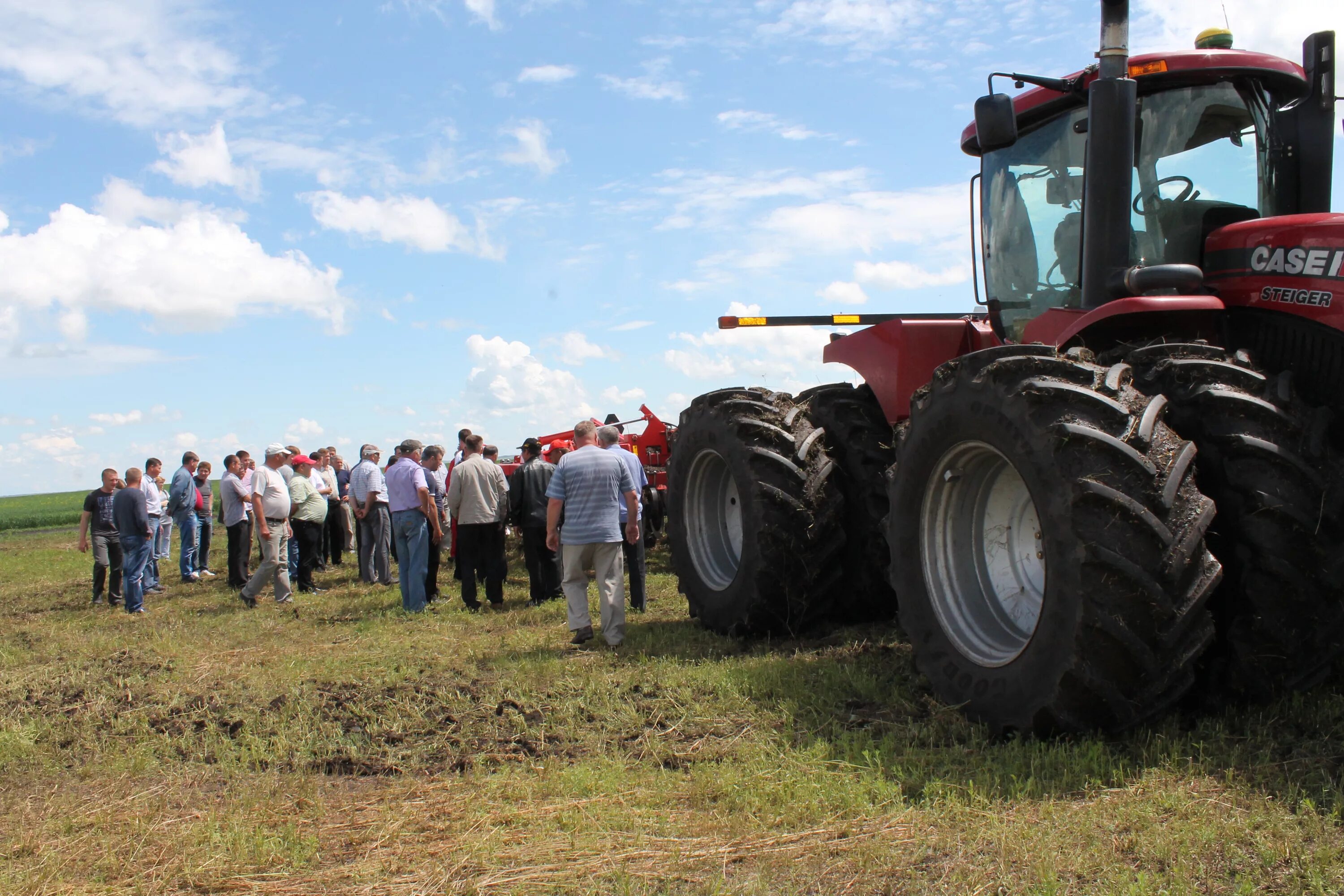 на полях района уборка. спк заря в беларуси. пшеница %18. обмолот зяби. комбайнеры татарстана.