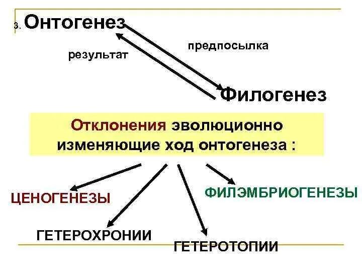 Онтогенез есть повторение филогенеза. Онтогенез и филогенез различия. Понятие об онтогенезе и филогенезе. Взаимосвязь онтогенеза и филогенеза. Сходства и различия онтогенеза и филогенеза.