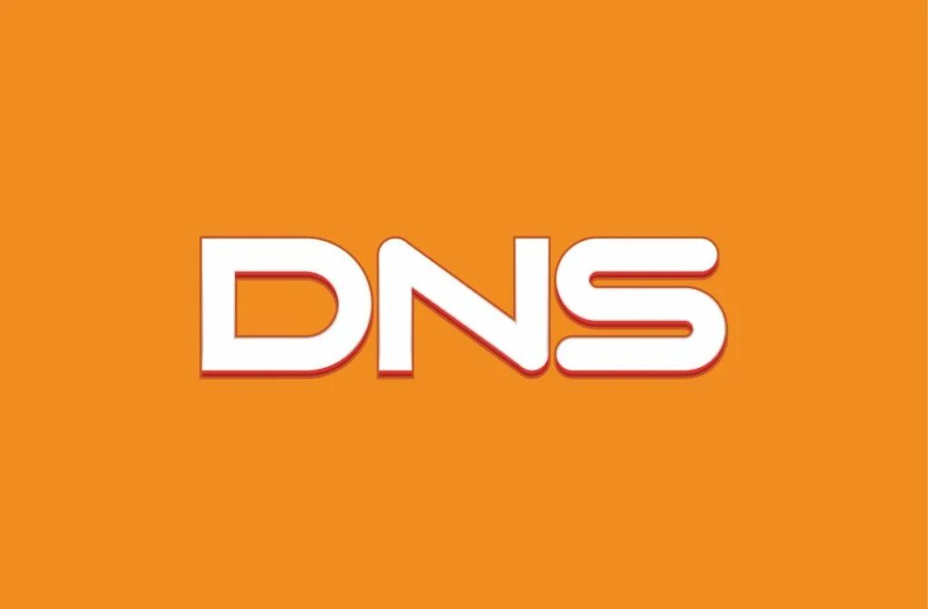 S wp ru. ДНС. DNS эмблема. ДНСЗ. ЛНС.