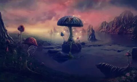Legend of mushroom на пк