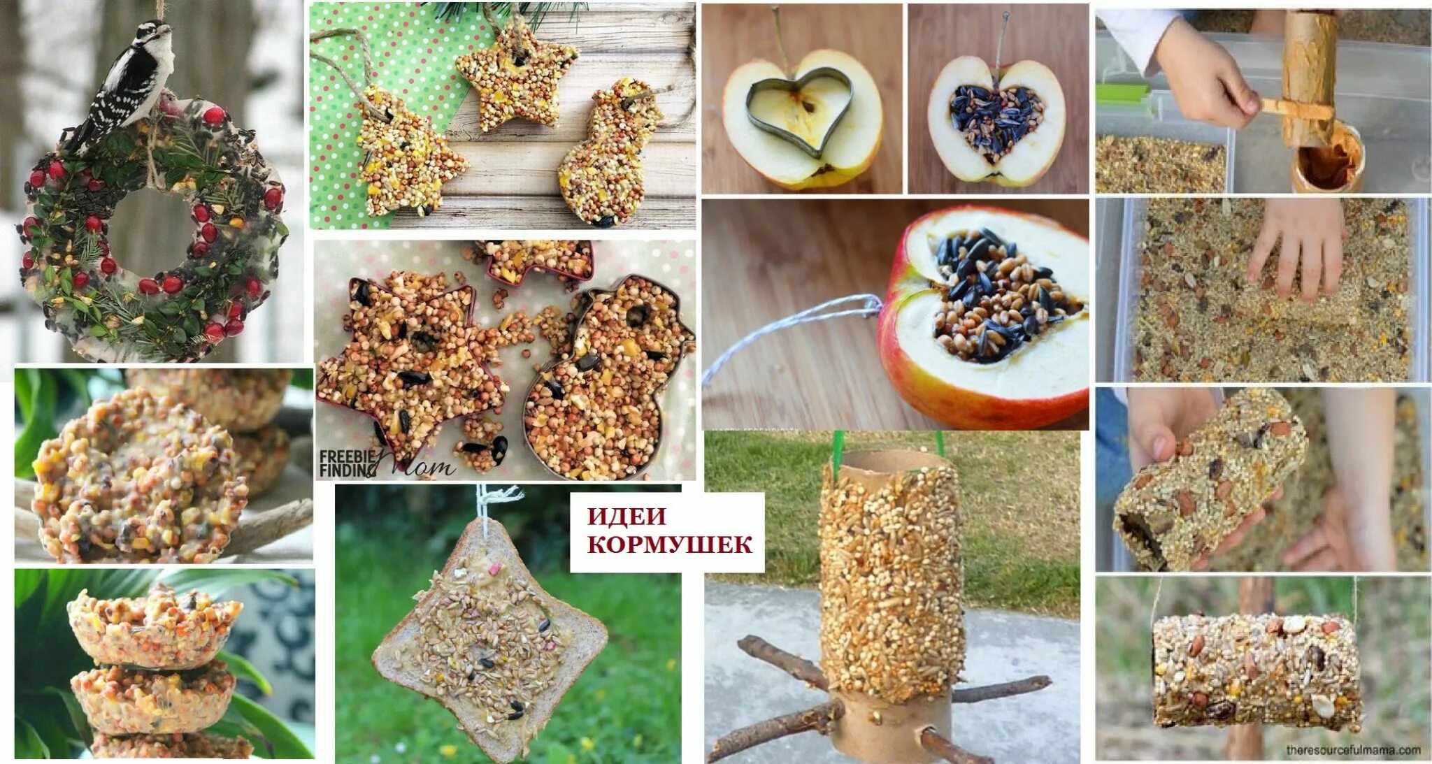 кормушка для птиц из шишек. съедобная кормушка для птиц. угощения для птичек. съедобная кормушка рецепт. кормушка из съедобных материалов.