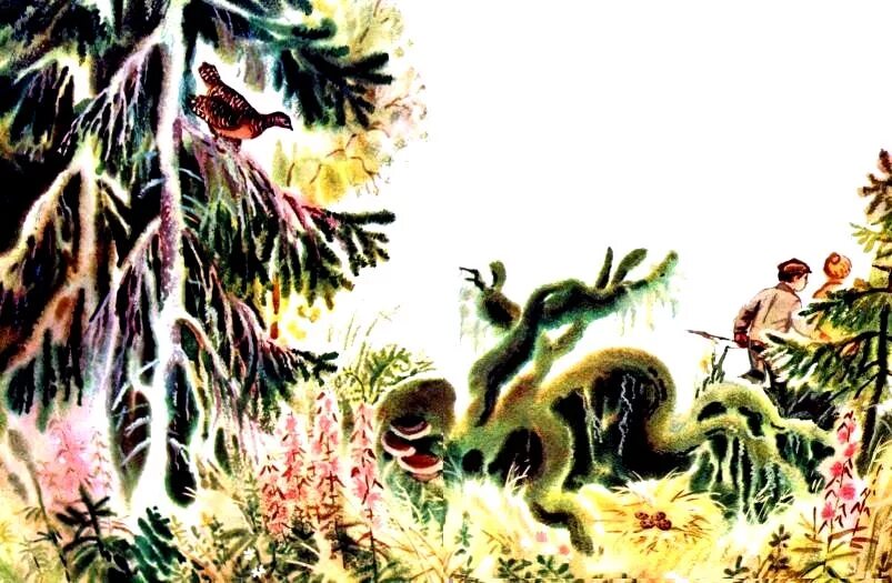 Иллюстрация к рассказу капалуха. Астафьев весенний остров. Астафьев весенний остров иллюстрации.