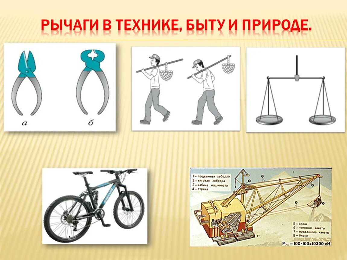 Сообщение на тему рычаги в технике. Простые механизмы в технике быту и природе. Рычаг в технике быту и природе 7 класс по физике. Рычаги в технике быту и природе. Простые механизмы в быту рычаг.