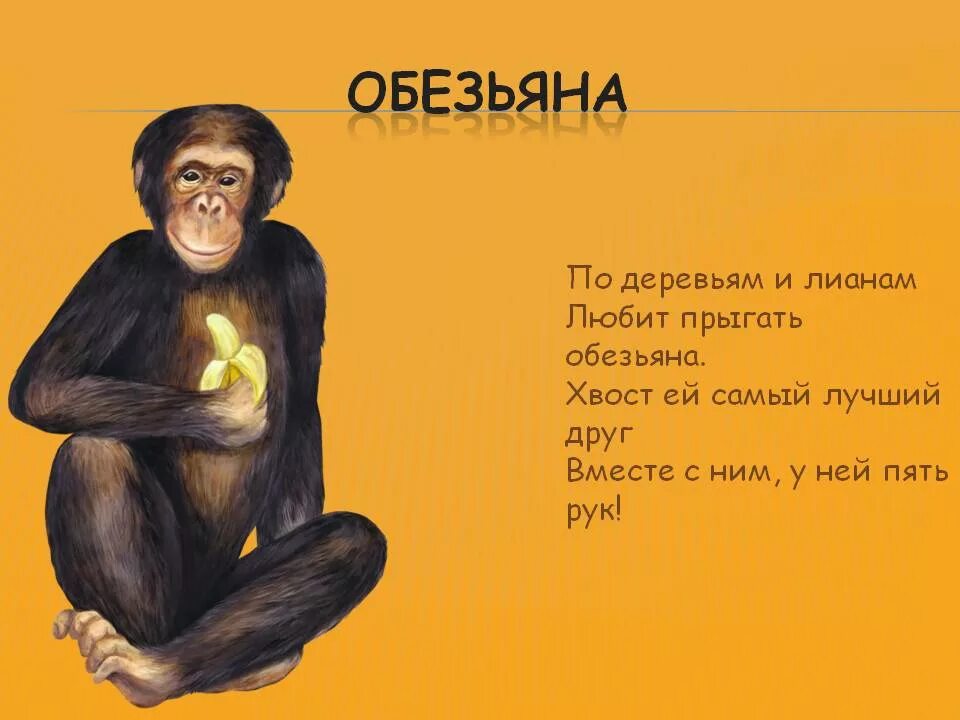 Стих про обезьяну. Стих про обезьянку. Загадка про обезьяну. Стишки про обезьяну. Стихи про обезьянку для детей.