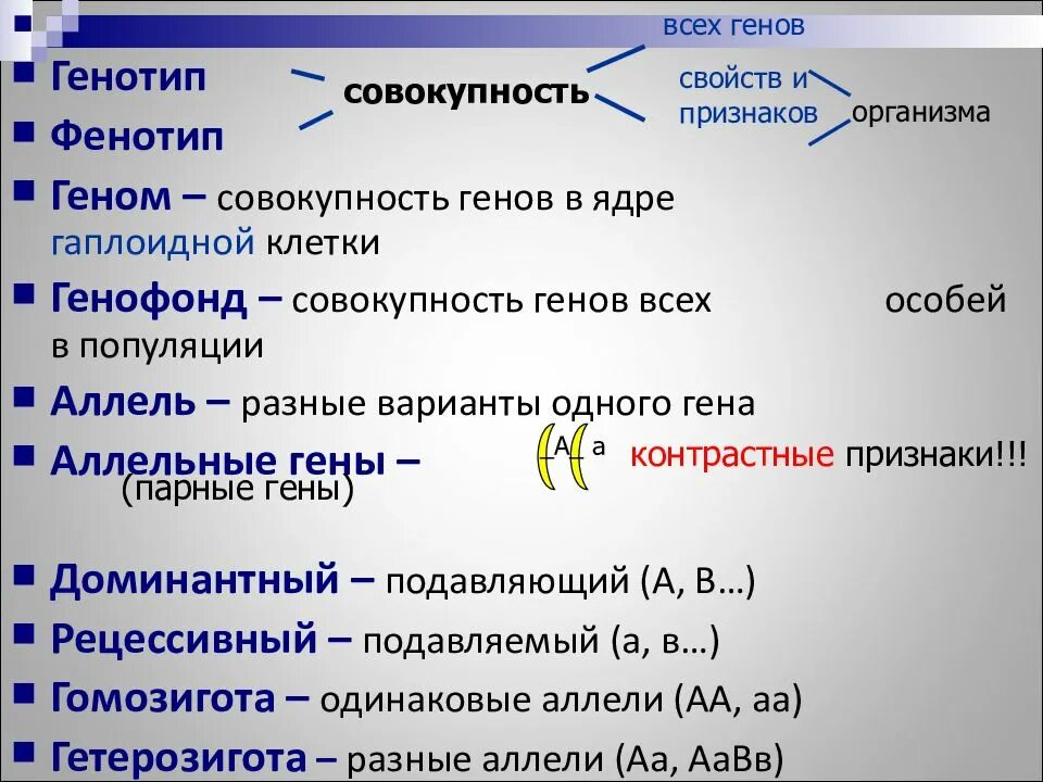 Генотип бывает. Генотип и фенотип. Виды генотипов. Геном и генотип. Генотип фенотип кариотип.