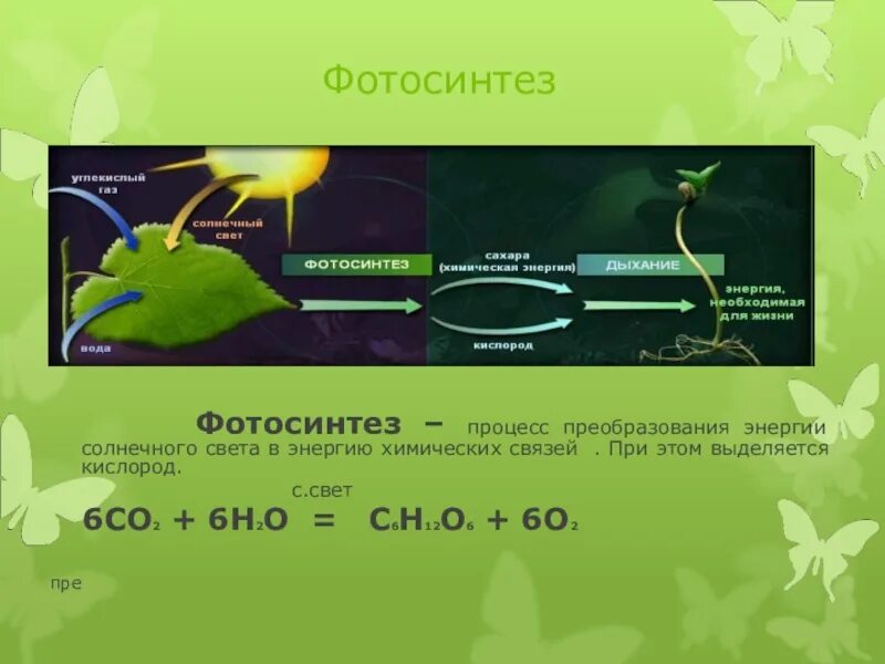 Какое преобразование энергии осуществляется в солнечных