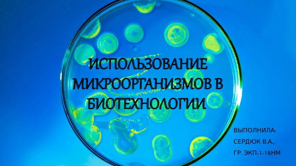 Микроорганизмы используемые в биотехнологии. Биотехнология микроорганизмов. Бактерии в биотехнологии. Использование микроорганизмов в биотехнологии. Применение микроорганизмов в биотехнологии.